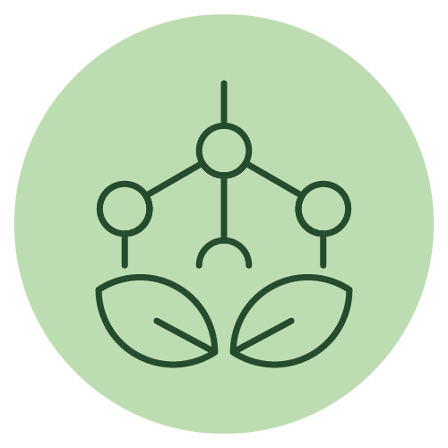 Antioxidant icon on the Pekoe tea homepage