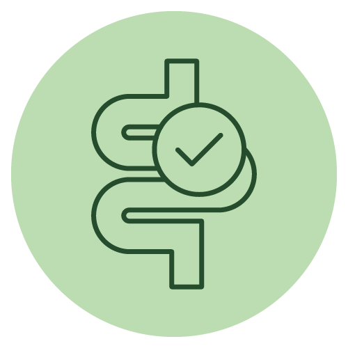 Gut health icon on the Pekoe tea homepage