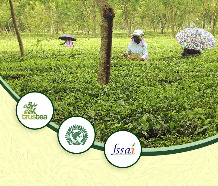 TrustTea, Rainforest Alliance, and FSSAI certifications logo on the Pekoe tea website