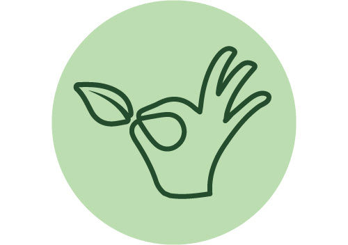 Hand plucked icon on pekoe tea website